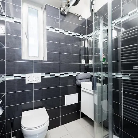 Apartment City Slezska *